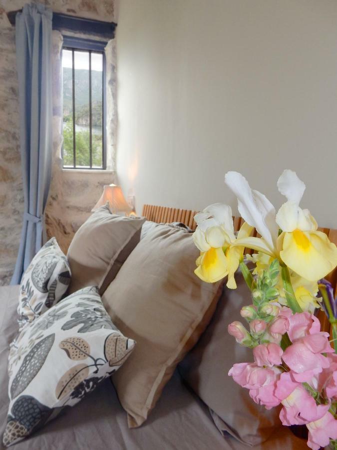 Apartamento Las Medulas Covas  エクステリア 写真